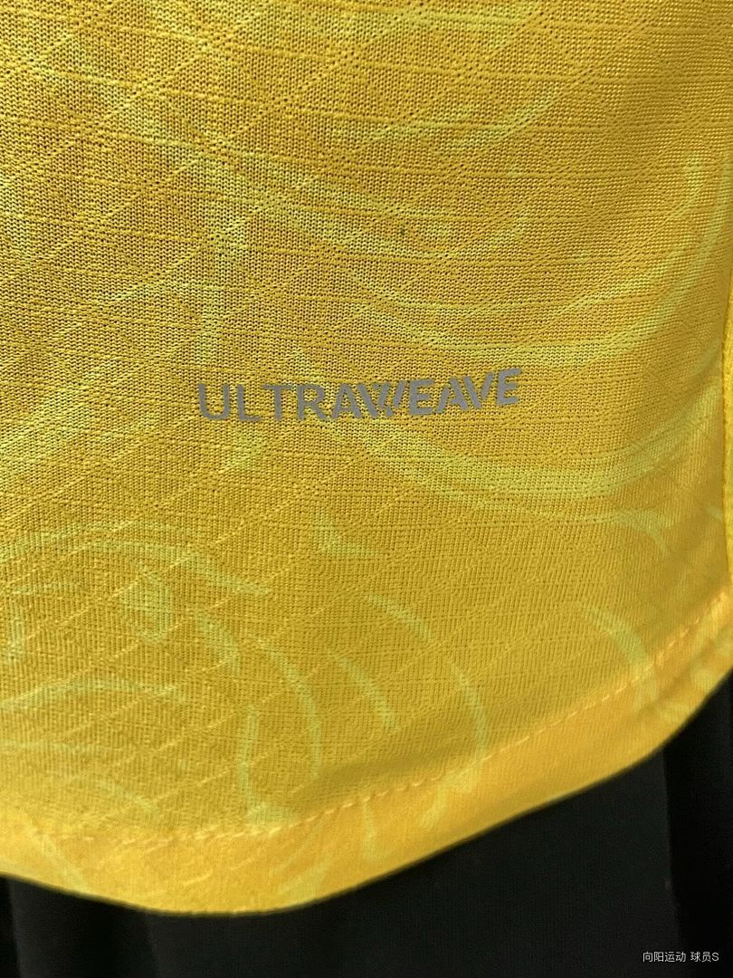 DORTMUND PLAYER VERSION