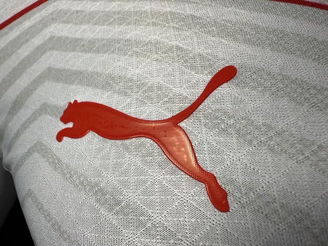 RB LEIPZIG PLAYER VERSION